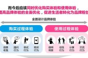 Dy粉丝业务具体是什么？如何高效利用这一服务？