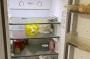 电冰箱清洗方法（轻松保持清洁）