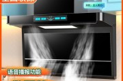 以乐吸吸油烟机的清洗方法（轻松清洁）