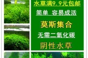 鱼缸清洗油烟机方法是什么？如何有效去除油烟机上的污渍？