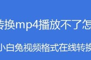 优酷电脑黑屏播放不了怎么办？如何解决播放问题？