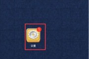 电话停机怎么恢复使用？（快速恢复电话服务的方法与注意事项）