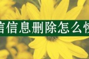 微信删除的聊天记录是否能恢复？（探寻微信删除聊天记录的恢复可能性与方法）