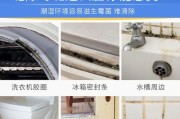 冰箱门发霉发黑怎么清洗（避免食物污染）