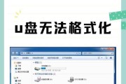 无法格式化u盘怎么办？万能u盘格式化工具如何使用？