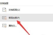 手机文档加密的必要性与方法（保护隐私）
