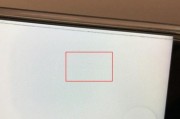 显示器两侧黑点问题解析（黑点对显示效果的影响及处理方法）