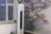 柜机空调异味的处理方法（消除异味）