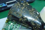 复印机发黑的原因（探究复印机发黑的内在原因及解决方案）