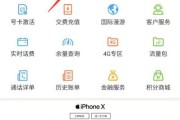 手机流量查询的方法及步骤（掌握查询手机流量的技巧）