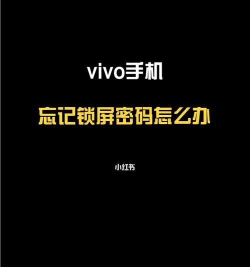 Vivo手机密码忘记了怎么办？（忘记密码时的解决方法及步骤）