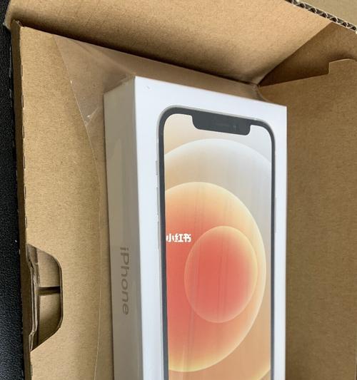 如何通过iPhone序列号验机真伪（轻松辨别正品iPhone的方法和技巧）