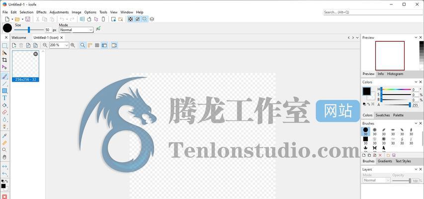 将JPG格式图像转换为ICO图标的简便方法（一步步教你快速将JPG转换为ICO图标）