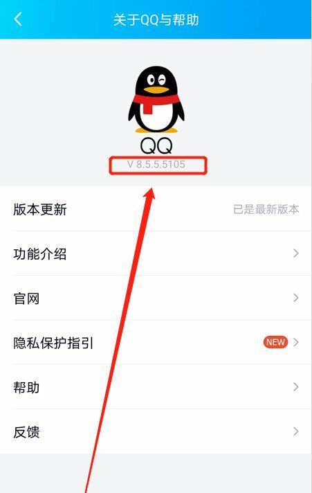 如何查看电脑系统版本号？（掌握系统信息，轻松查询版本号）