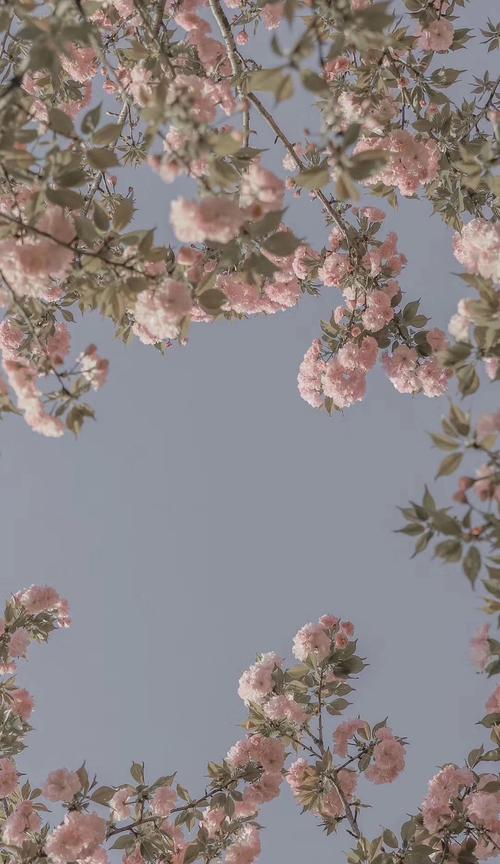 如何在手机上更换苹果主题壁纸（简单步骤教你打造专属苹果风格手机）