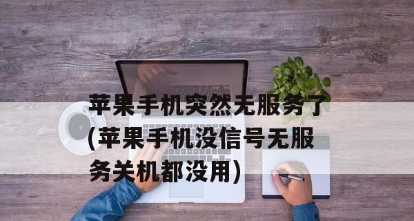 iPhone手机无服务问题解决方法（如何解决iPhone手机出现无服务的情况）