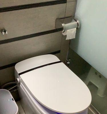 揭秘浪鲸马桶反味之谜——马桶臭味源头大公开（为什么浪鲸马桶常常会有难闻的气味）