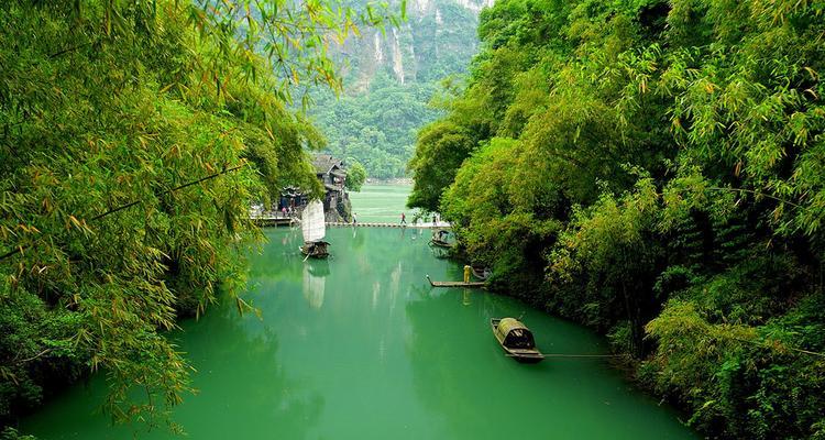 如何正确清洗神农架油烟机（掌握清洗技巧）