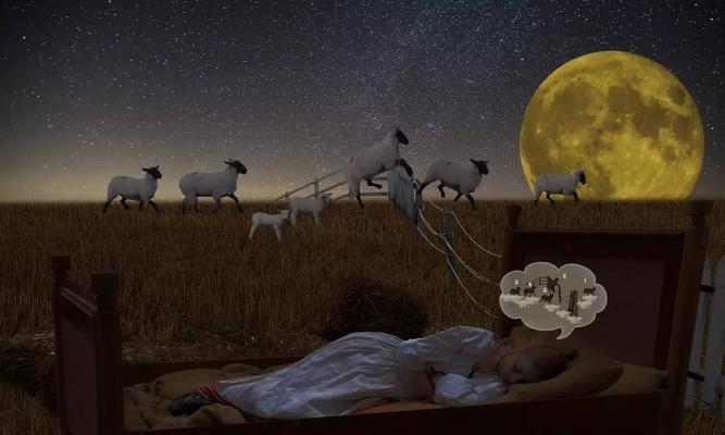 晚上睡觉为什么打呼噜（睡眠对打呼噜的影响）