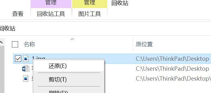 电脑删除文件恢复方法（通过特定软件恢复电脑删除的文件）