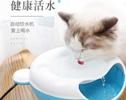 如何正确清洁狗饮水机（简单易行的方法让你的宠物始终饮用干净的水源）