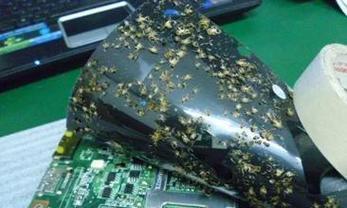 复印机发黑的原因（探究复印机发黑的内在原因及解决方案）