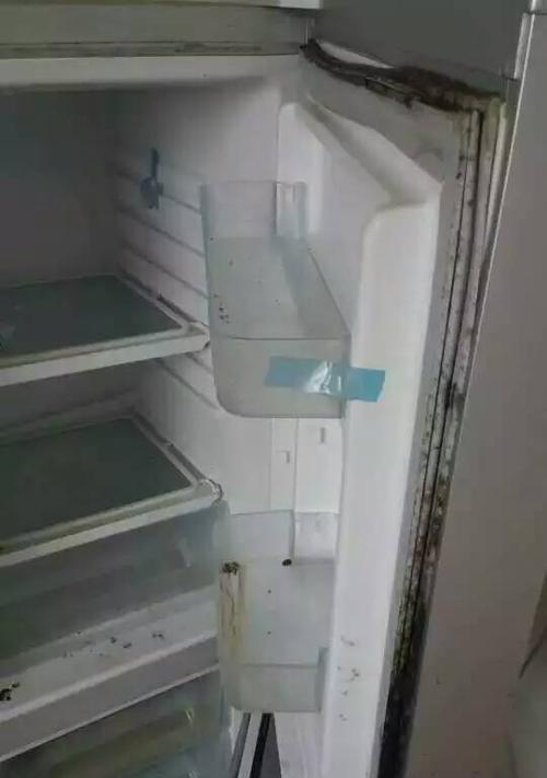 如何正确清洗冰箱盒（简单易行的清洗方法）