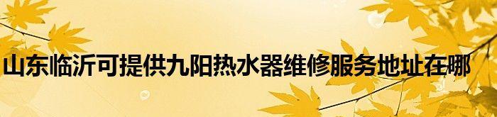 九阳热水器清洗全攻略（学会正确清洗热水器）