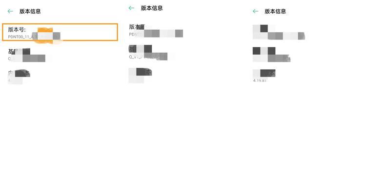 开发人员选项不见了怎么办（解决开发人员选项消失的问题）