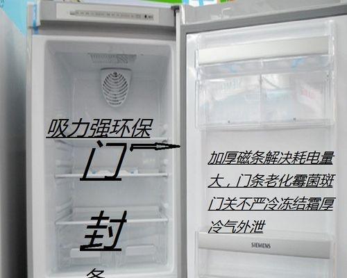 揭秘西门子冰箱不工作的原因（探究西门子冰箱失效的根本问题）