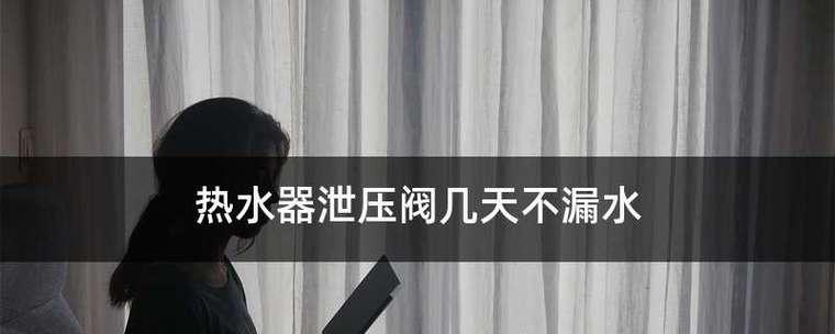 热水器泄压阀漏水的维修方法（解决热水器泄压阀漏水问题的有效措施）