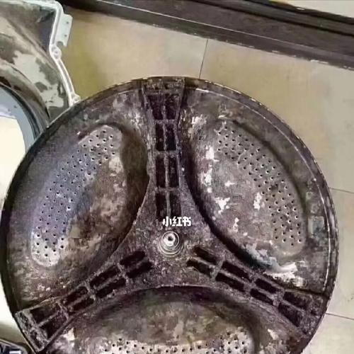 洗衣机清洗力量差的原因（解析洗衣机清洗力量不足的根源问题及解决方法）