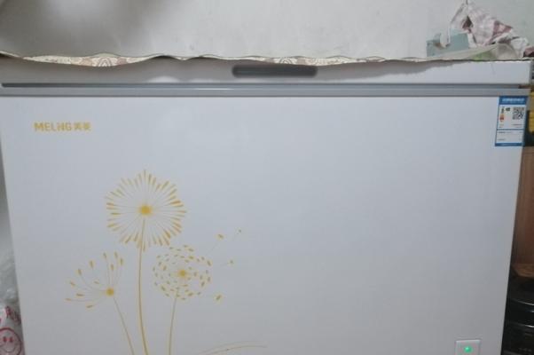 冰柜防潮处理的重要性及方法（保持食品干燥新鲜的关键措施和技巧）
