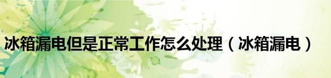 冰柜漏电静电处理方法大全（保证家庭安全）