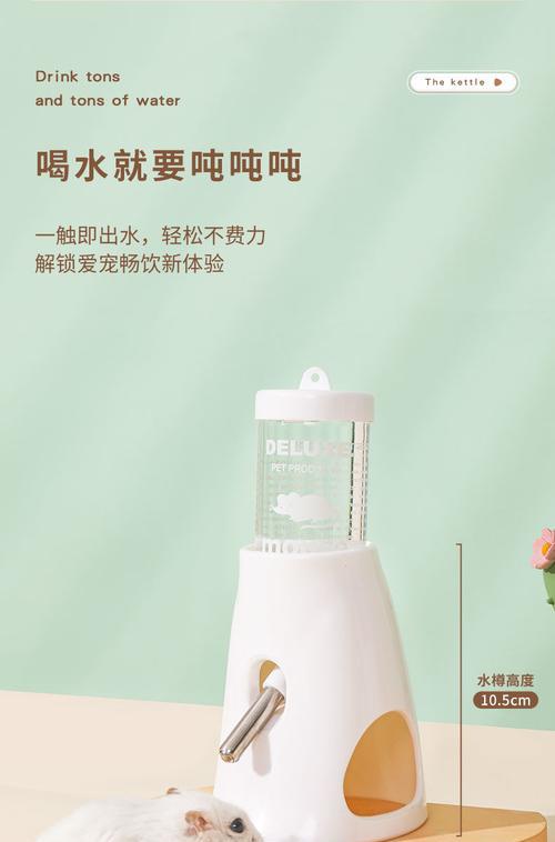 仓鼠饮水机怎么修？维修方法有哪些？