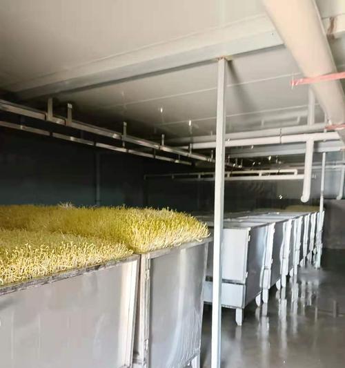 大型豆芽机怎么发豆芽？大型豆芽机发豆芽原理是什么？