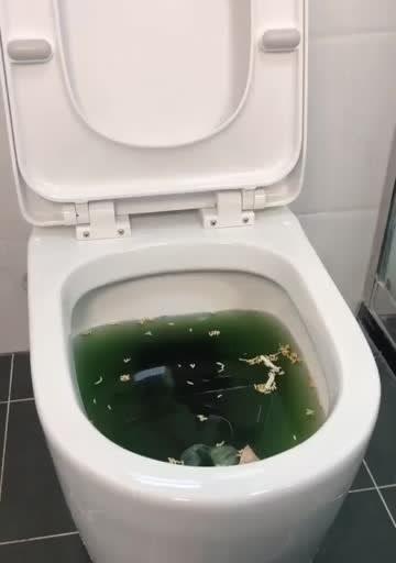马桶堵了怎么办？马桶堵塞疏通方法有哪些？