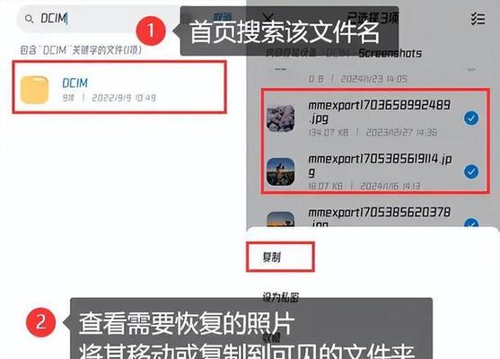 cerber3文件恢复是否可行？