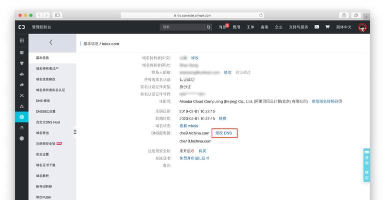 如何正确解析中文国际域名？解析过程中常见问题有哪些？
