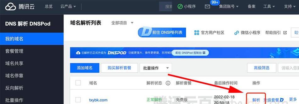 如何正确解析中文国际域名？解析过程中常见问题有哪些？