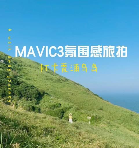 耐司黑柔滤镜哪档效果最佳？如何选择合适的档位？