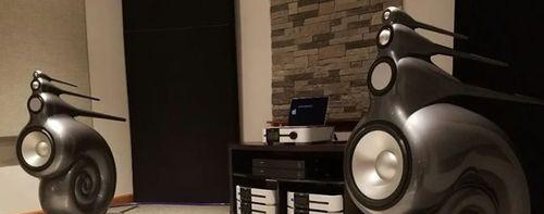 鹦鹉螺音响是什么牌子？购买时应该注意哪些常见问题？