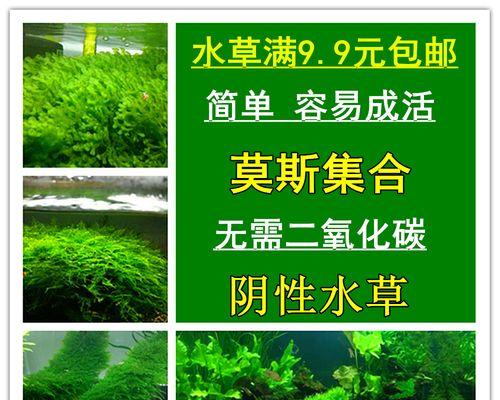 鱼缸清洗油烟机方法是什么？如何有效去除油烟机上的污渍？