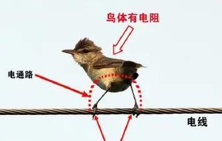 家庭电热水器漏电怎么办？查找方法有哪些？