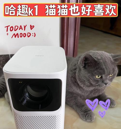 仓鼠豪华投影仪使用方法是什么？