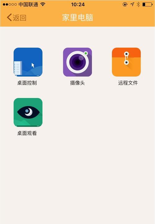 电脑向日葵图标如何调整大小？设置方法是什么？