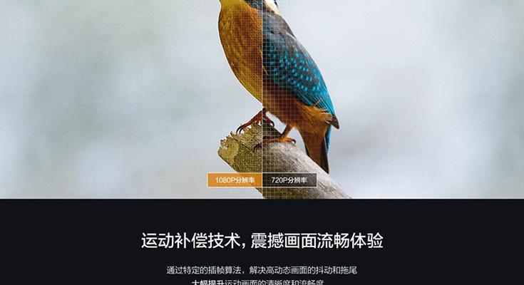 灰衣服与投影仪颜色搭配技巧是什么？