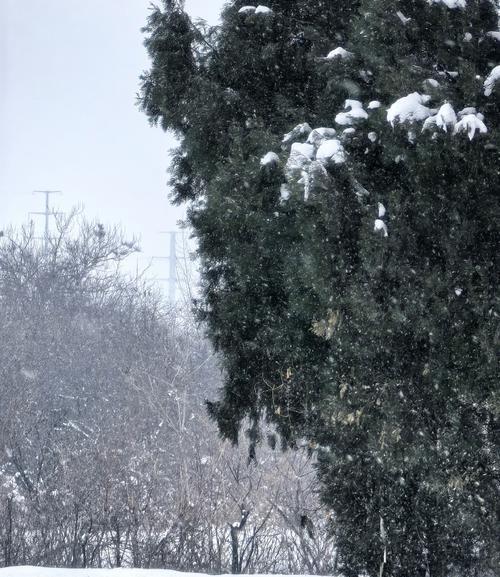 雪景拍照时手机构图技巧有哪些？