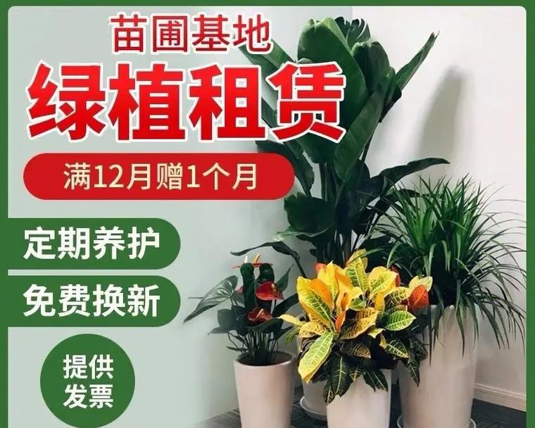 龙腾盛世笔记本电脑版下载流程是什么？哪里可以安全下载？