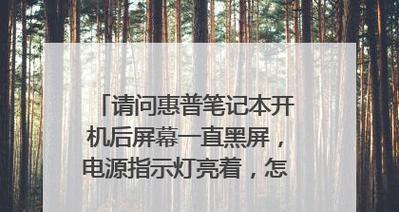 电脑没电导致开机黑屏怎么办？如何预防和解决这个问题？